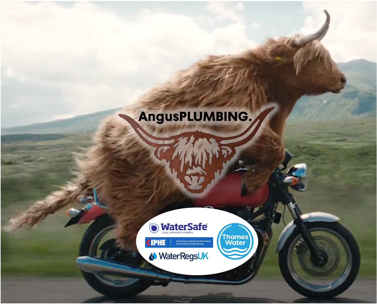 AngusPLUMBING — WaterSafe, CIPHE, Water Regs UK and Thames Water approved